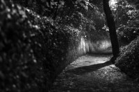 Experiment with long exposures