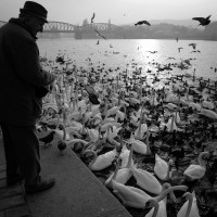 /album/galerie-de-photos-passers/passers-15-jpg1/